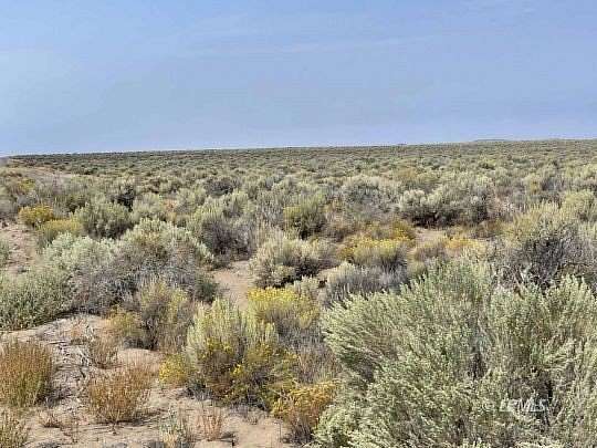 20 Acres of Land for Sale in Christmas Valley, Oregon