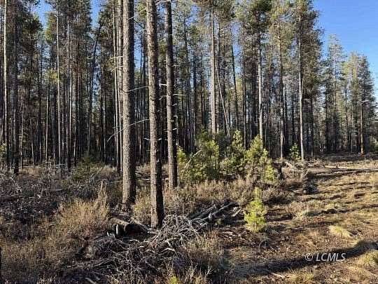 1 Acre of Residential Land for Sale in Chiloquin, Oregon