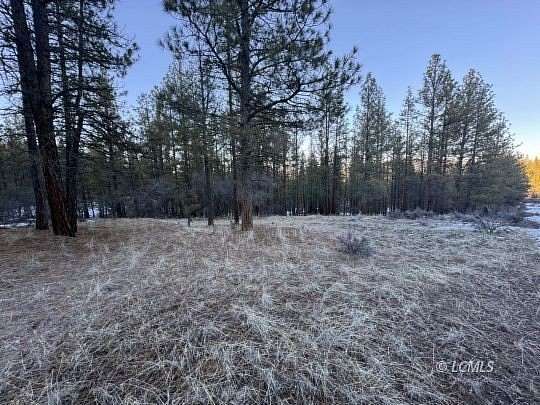 1.85 Acres of Residential Land for Sale in Beatty, Oregon