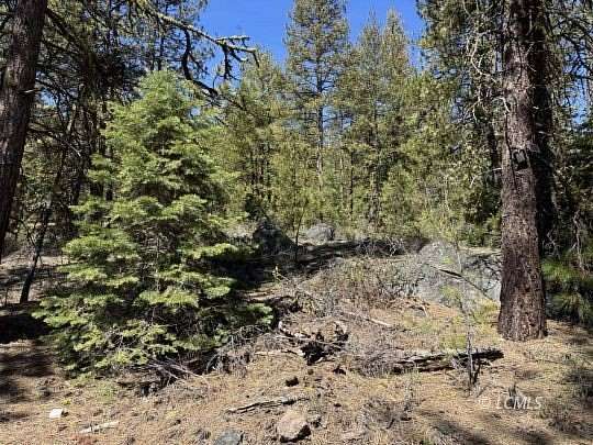 2 Acres of Residential Land for Sale in Bonanza, Oregon