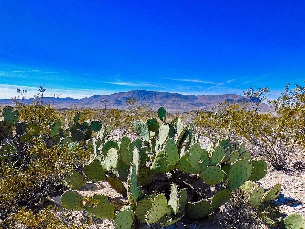 21 Acres of Recreational Land for Sale in Terlingua, Texas