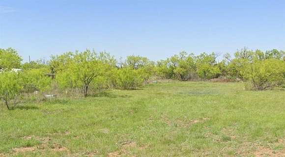 0.32 Acres of Residential Land for Sale in Merkel, Texas