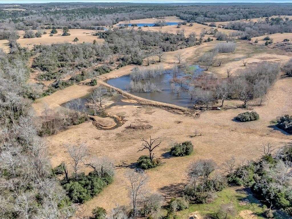 59 Acres of Recreational Land & Farm for Sale in Buffalo, Texas
