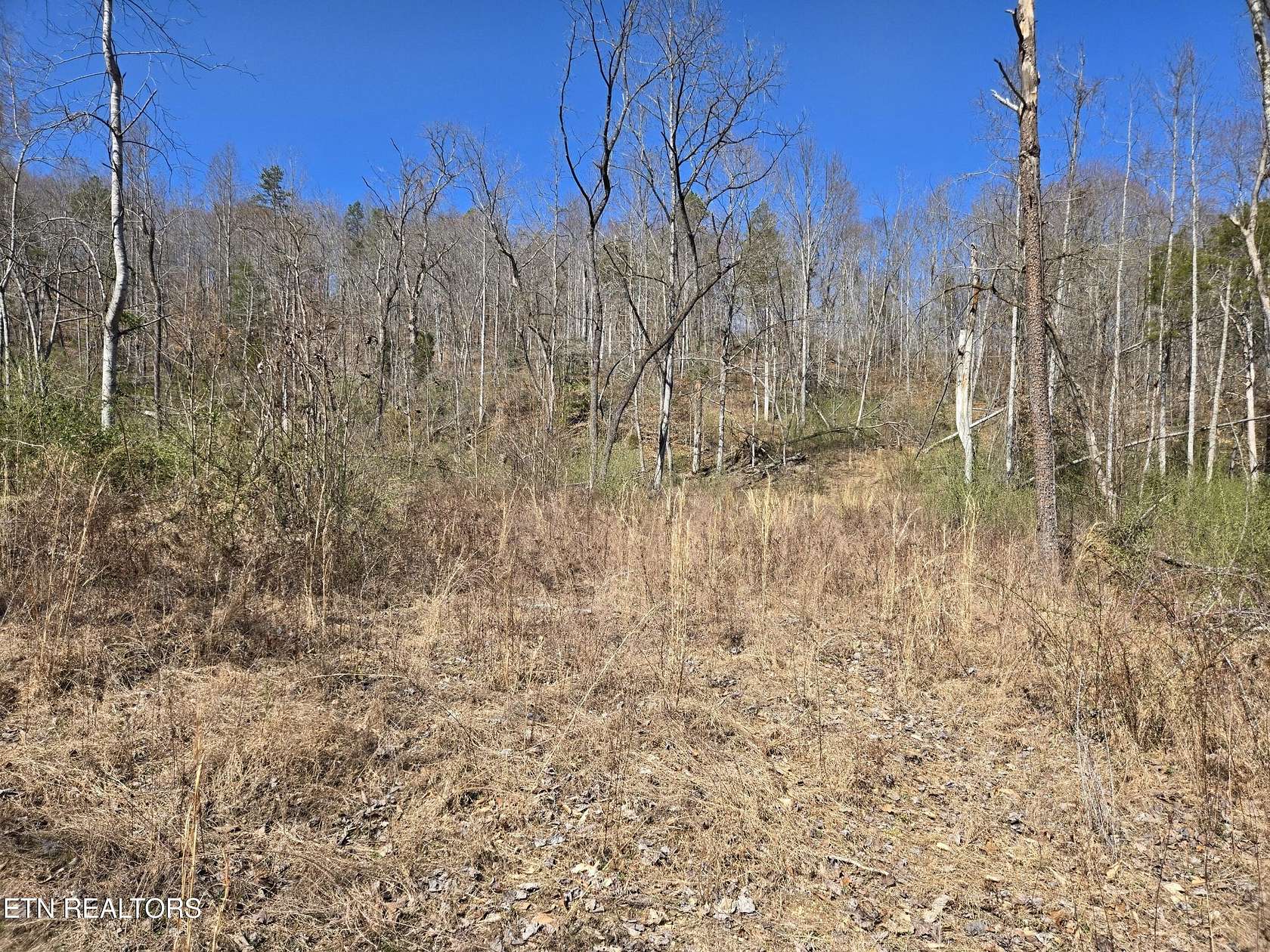 183 Acres of Recreational Land for Sale in Speedwell, Tennessee