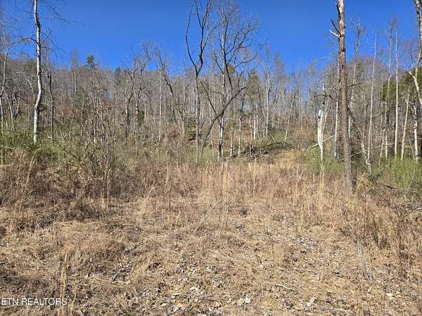 183 Acres of Recreational Land for Sale in Speedwell, Tennessee