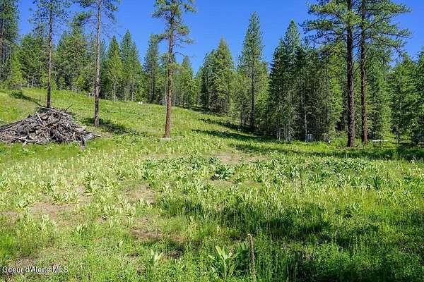 5 Acres of Residential Land for Sale in Blanchard, Idaho