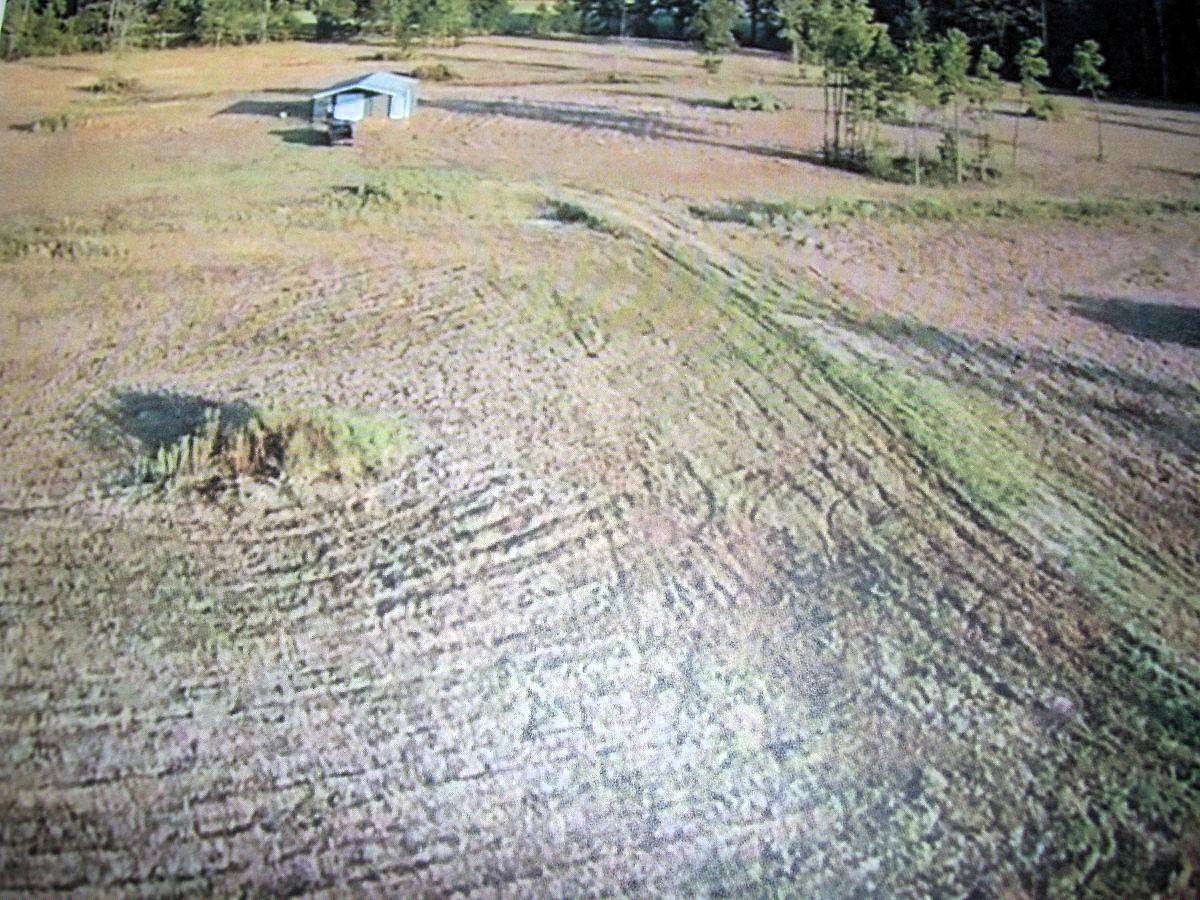 4 Acres of Residential Land for Sale in Ashdown, Arkansas