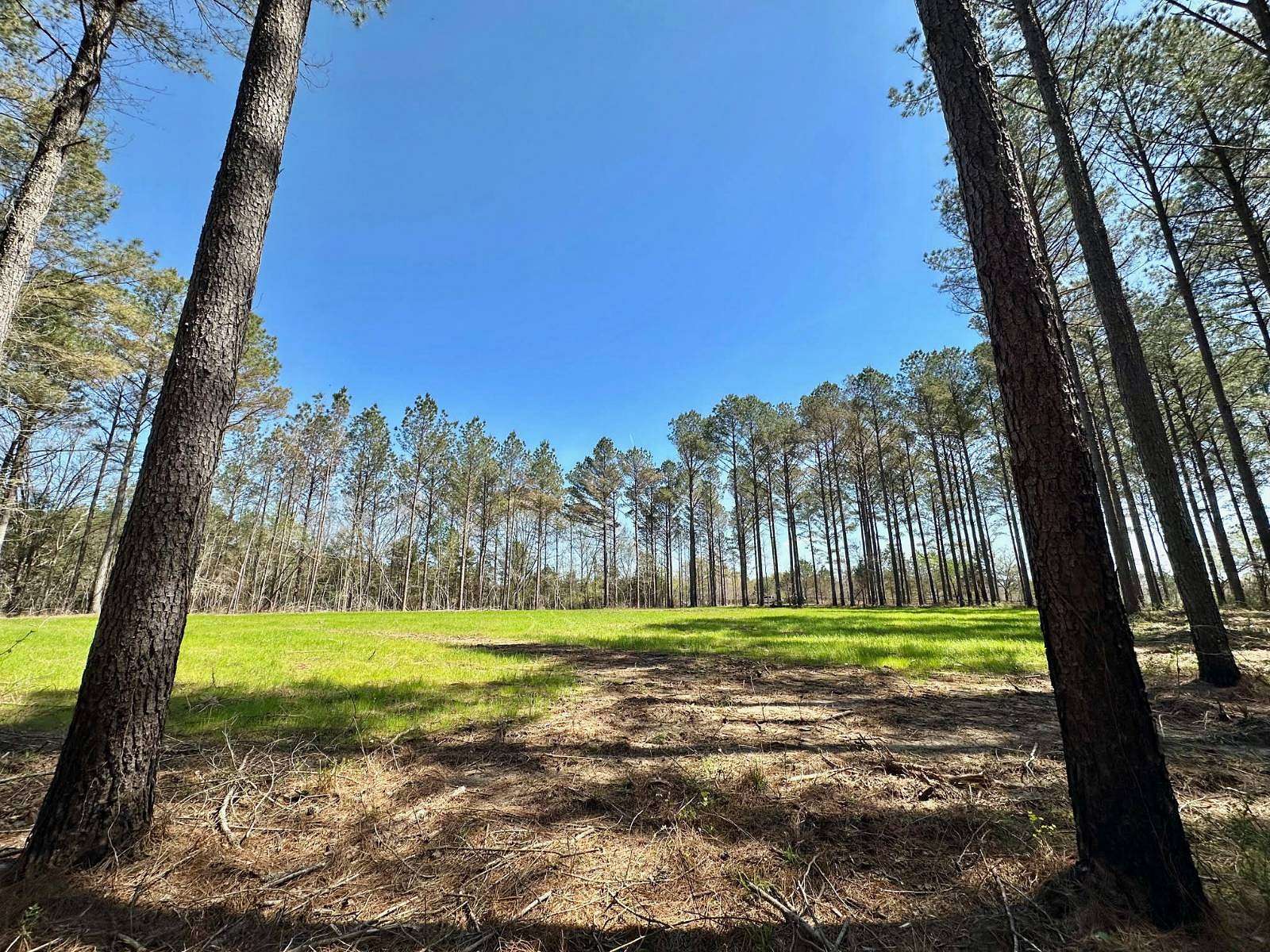 5.5 Acres of Residential Land for Sale in Canton, Mississippi