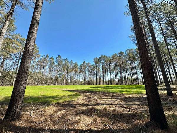 5.5 Acres of Residential Land for Sale in Canton, Mississippi