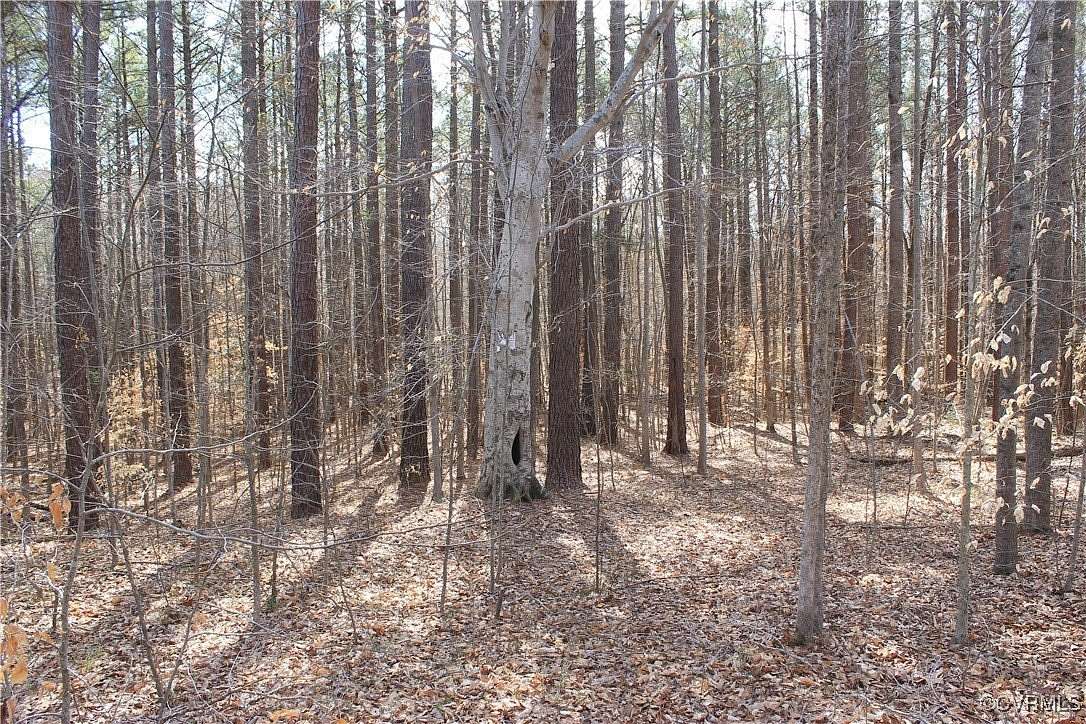 101 Acres of Recreational Land for Sale in Powhatan, Virginia