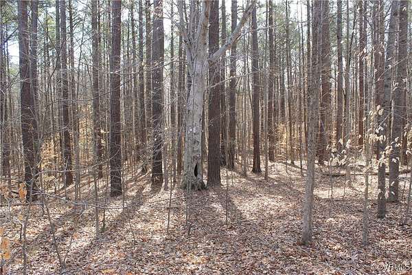 101 Acres of Recreational Land for Sale in Powhatan, Virginia