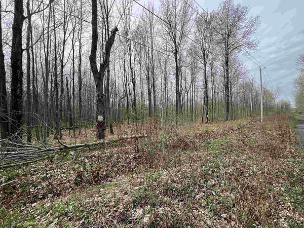 201 Acres of Recreational & Residential Land for Sale in Moira, New York