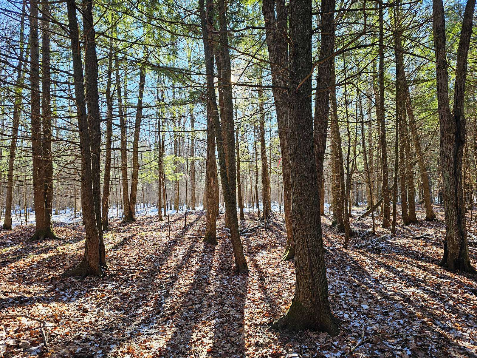 3.1 Acres of Land for Sale in Phillips, Wisconsin