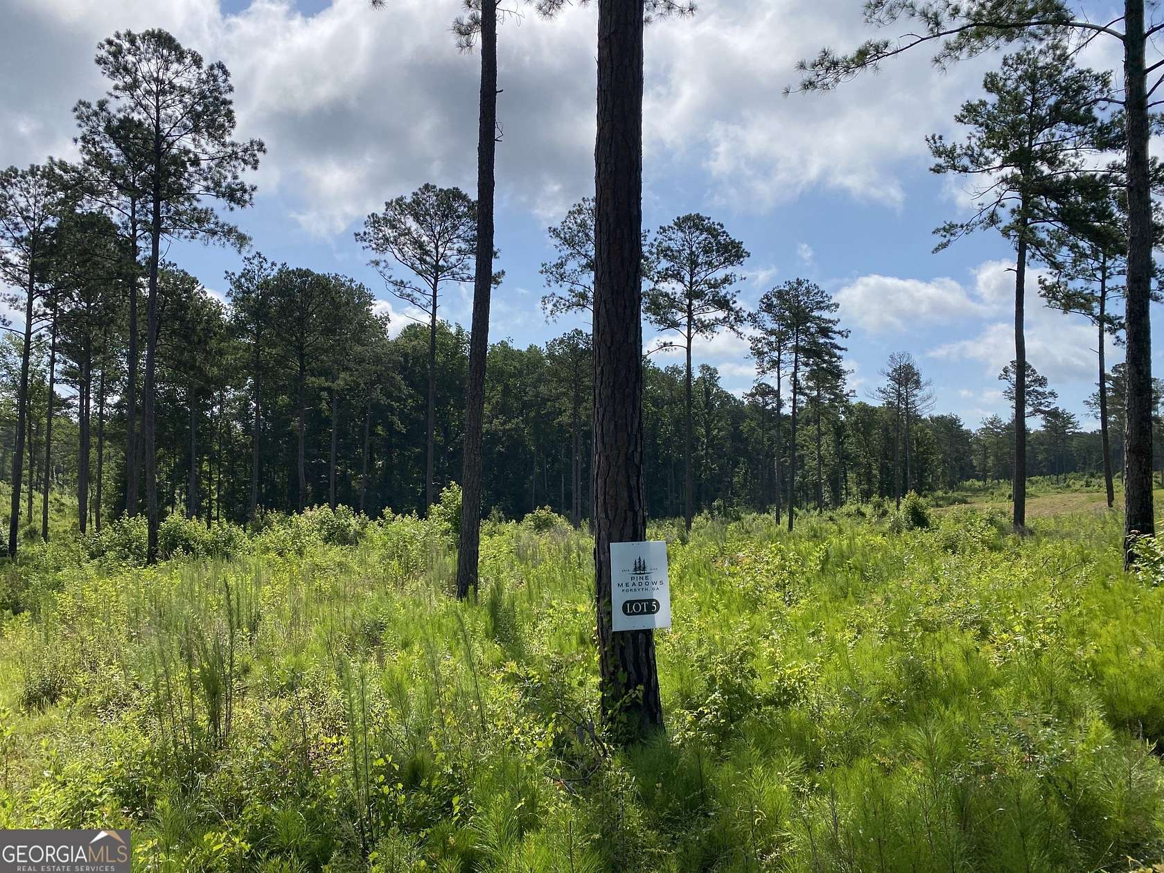 5.1 Acres of Residential Land for Sale in Forsyth, Georgia