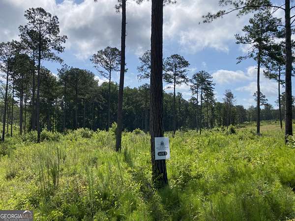 5.1 Acres of Residential Land for Sale in Forsyth, Georgia