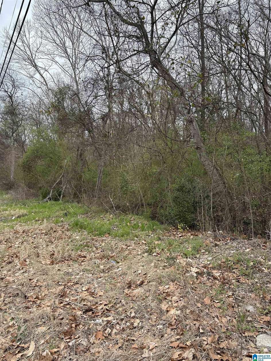 2.46 Acres of Commercial Land for Sale in Dolomite, Alabama