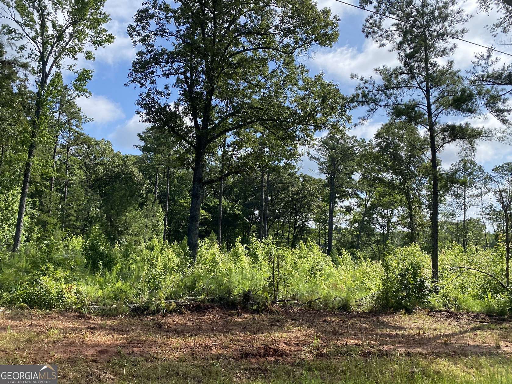 6 Acres of Residential Land for Sale in Forsyth, Georgia