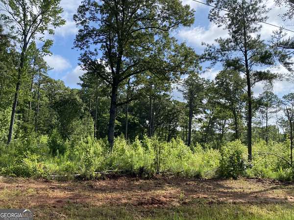 6 Acres of Residential Land for Sale in Forsyth, Georgia
