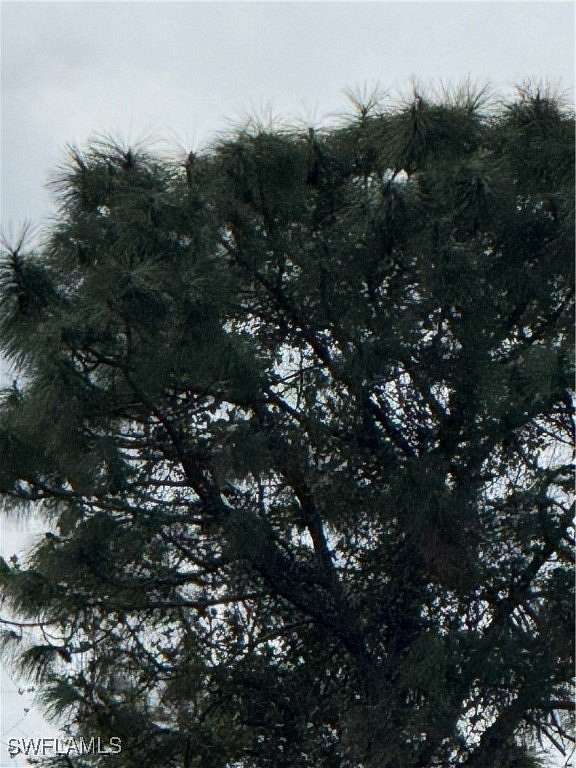 0.25 Acres of Land for Sale in Lehigh Acres, Florida