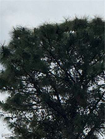 0.25 Acres of Land for Sale in Lehigh Acres, Florida