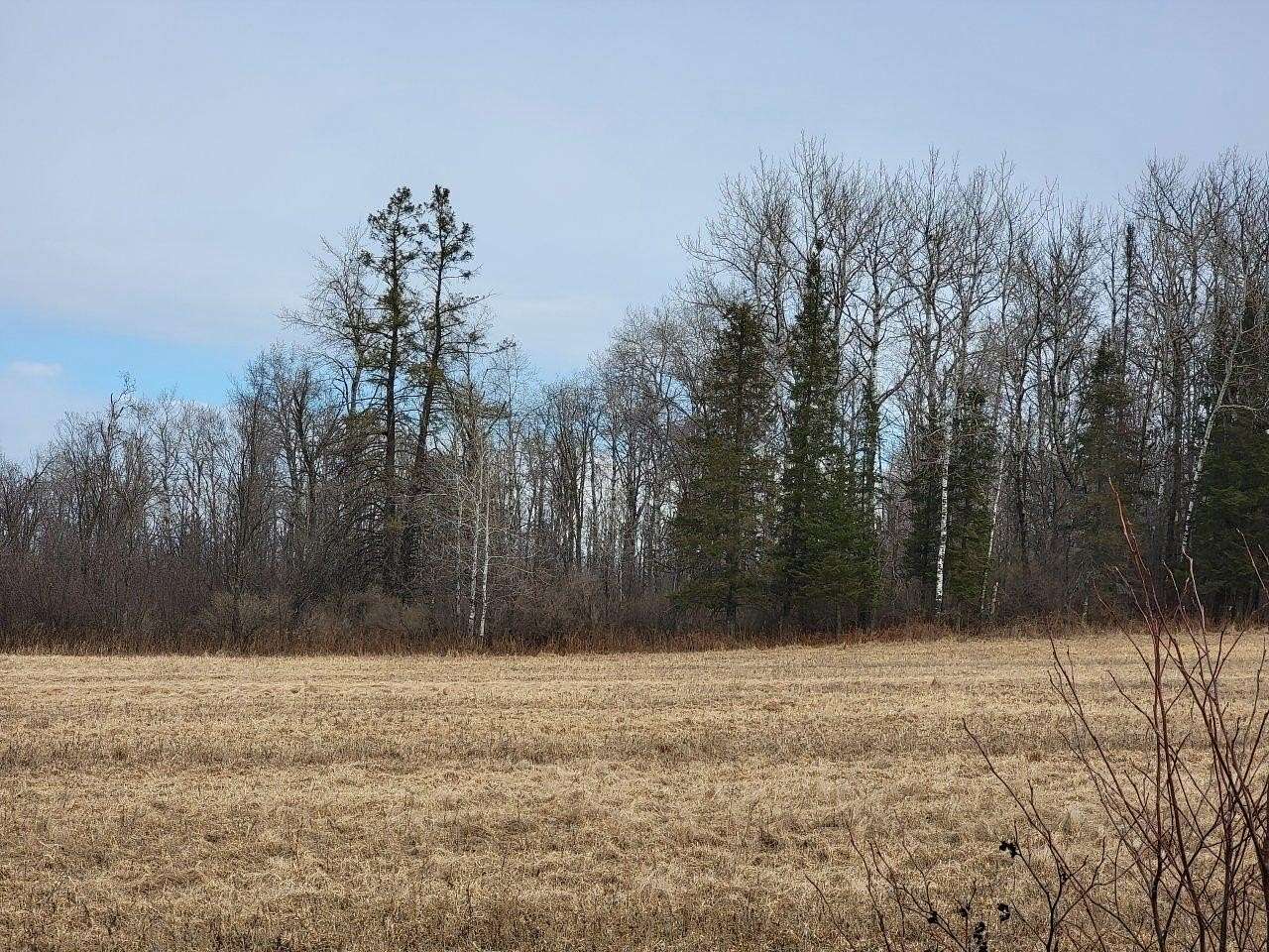 5 Acres of Land for Sale in Ojibwa, Wisconsin