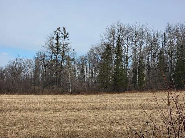 5 Acres of Land for Sale in Ojibwa, Wisconsin