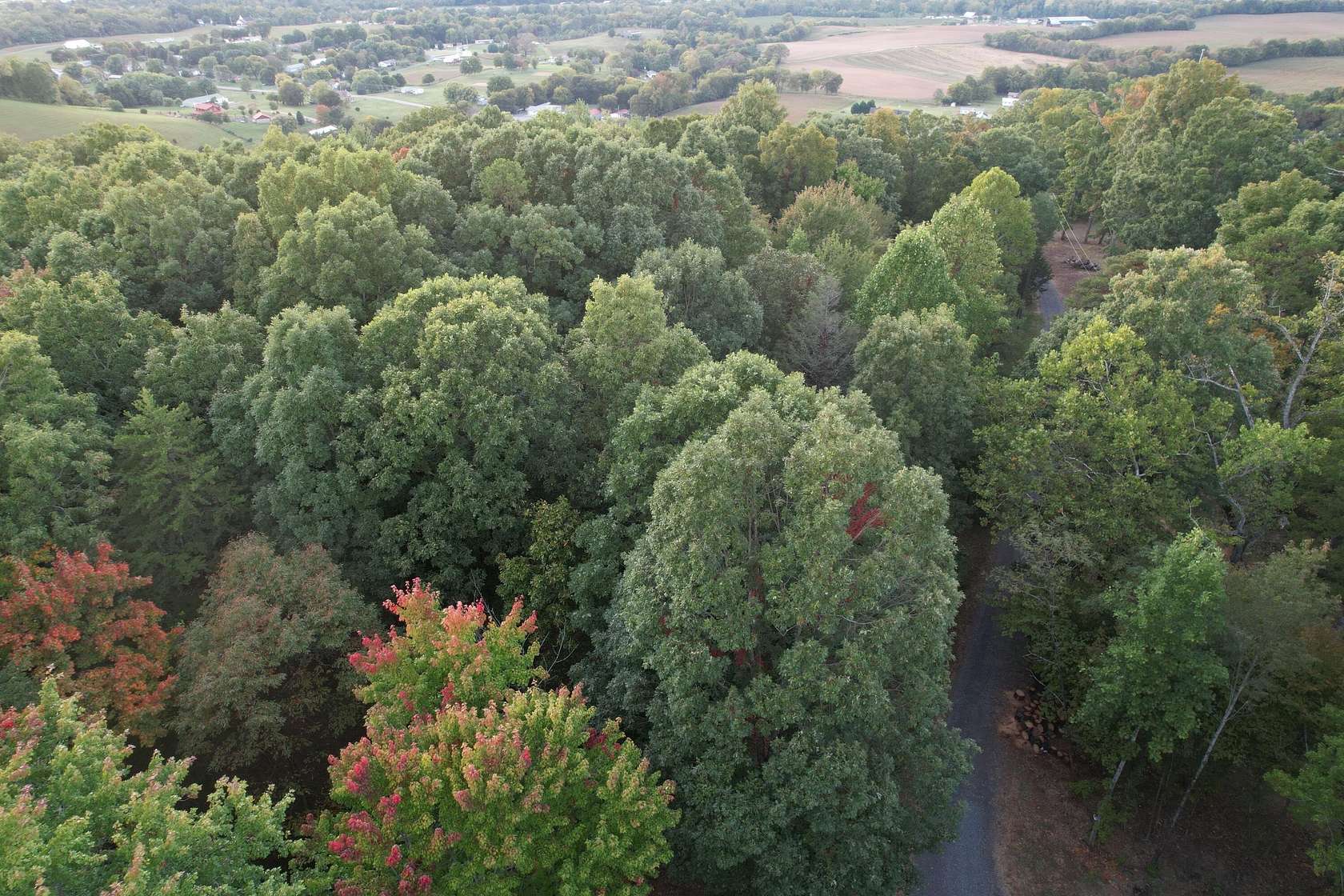 4 Acres of Residential Land for Sale in Newport, Tennessee