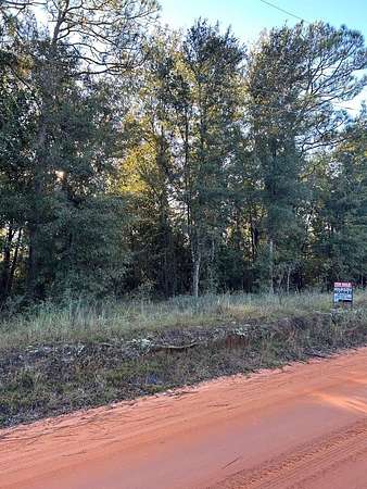 0.51 Acres of Land for Sale in Donalsonville, Georgia