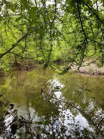 15 Acres of Land for Sale in Johnsville, Arkansas