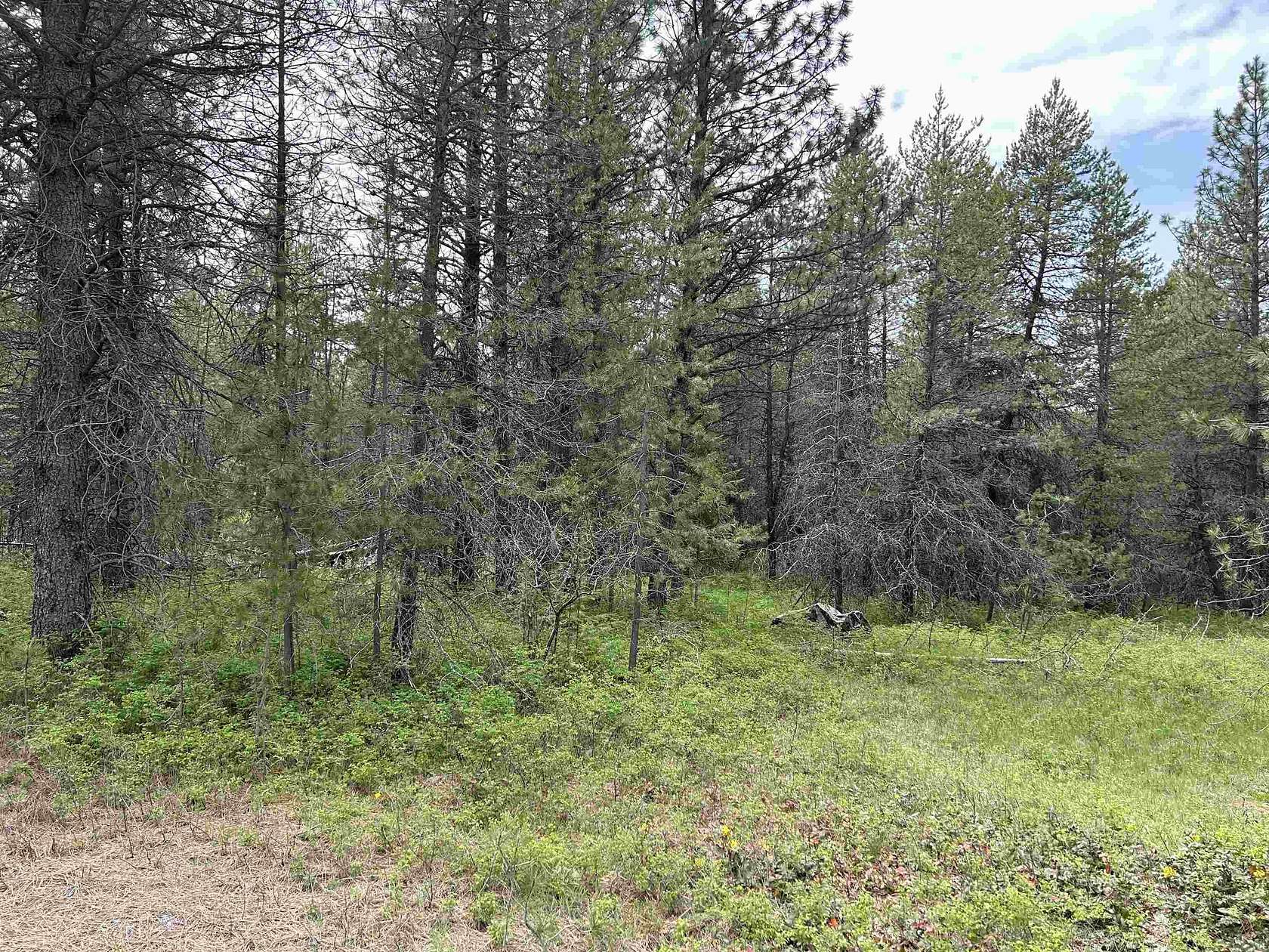 9.19 Acres of Land for Sale in Deer Park, Washington