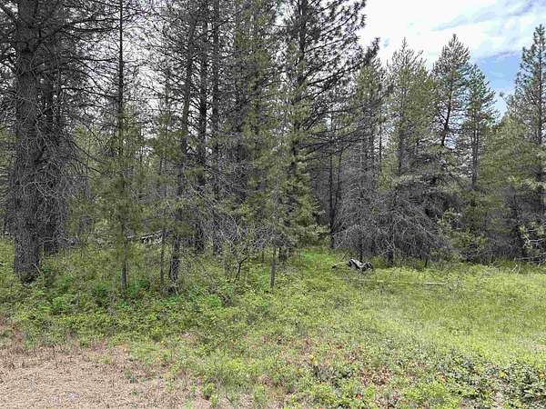 9.19 Acres of Land for Sale in Deer Park, Washington