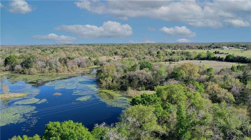 99.1 Acres of Agricultural Land for Sale in Bedias, Texas