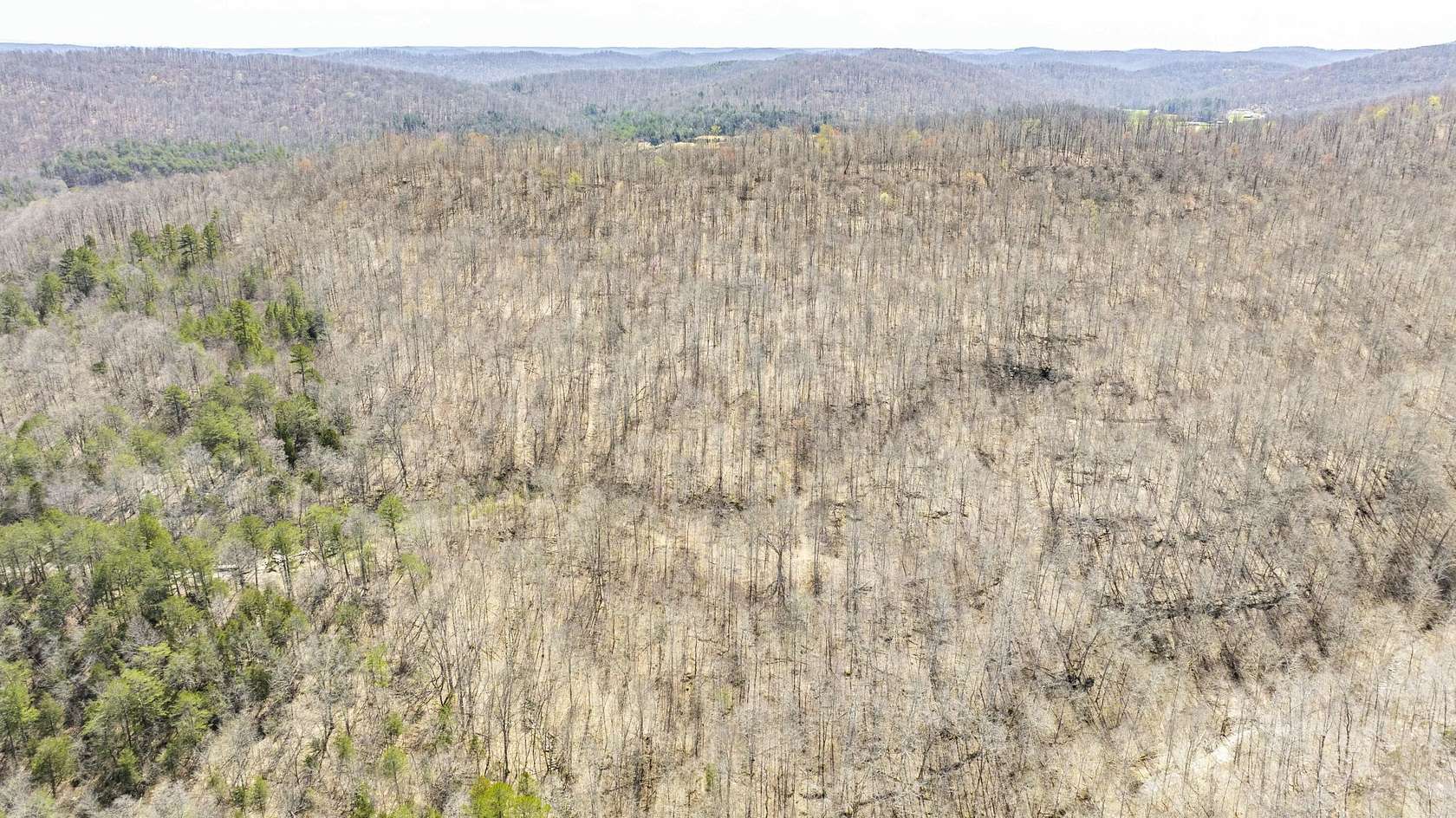 119 Acres of Recreational Land for Sale in Monticello, Kentucky