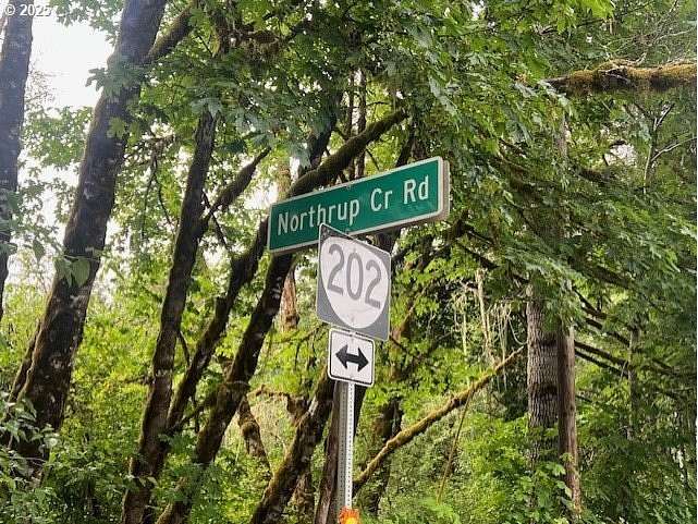 70 Acres of Recreational Land for Sale in Birkenfeld, Oregon