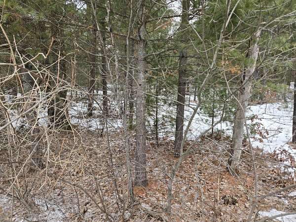 0.22 Acres of Land for Sale in Idlewild, Michigan