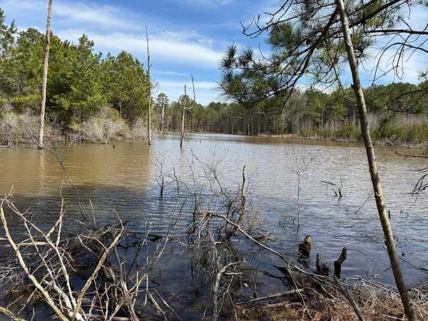 16.6 Acres of Land for Sale in Douglassville, Texas