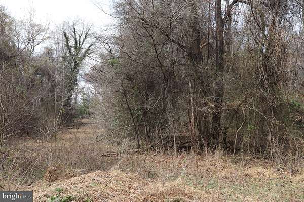 2.49 Acres of Residential Land for Sale in Bryans Road, Maryland