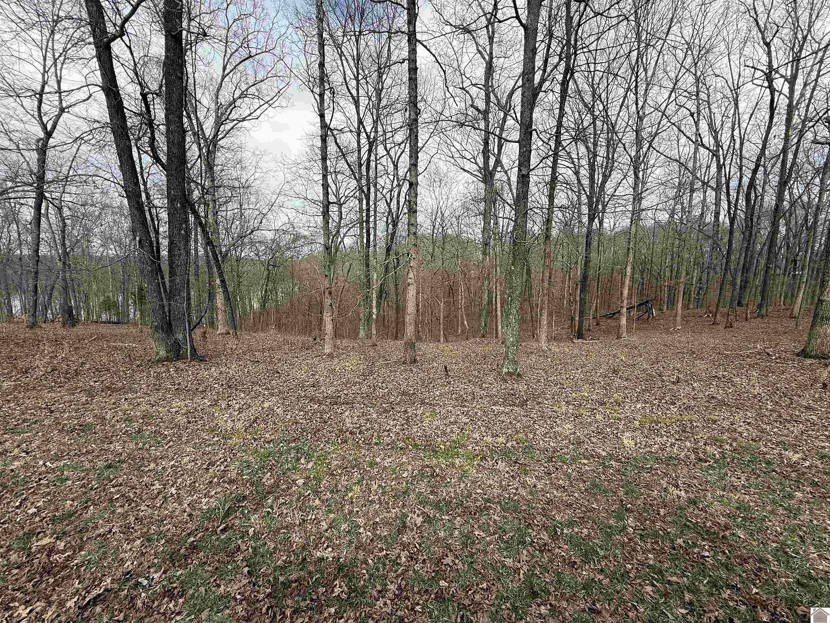 1.5 Acres of Residential Land for Sale in Murray, Kentucky