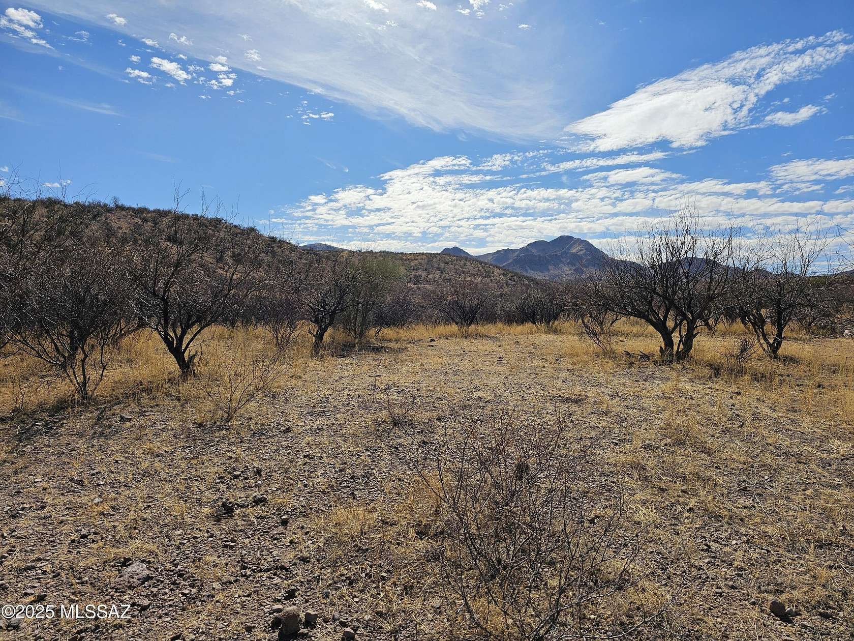 5.68 Acres of Residential Land for Sale in Tubac, Arizona