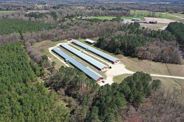 24.5 Acres of Agricultural Land for Sale in Pageland, South Carolina