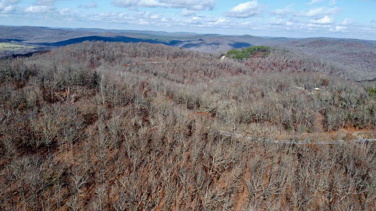 25 Acres of Recreational Land for Sale in Pettigrew, Arkansas