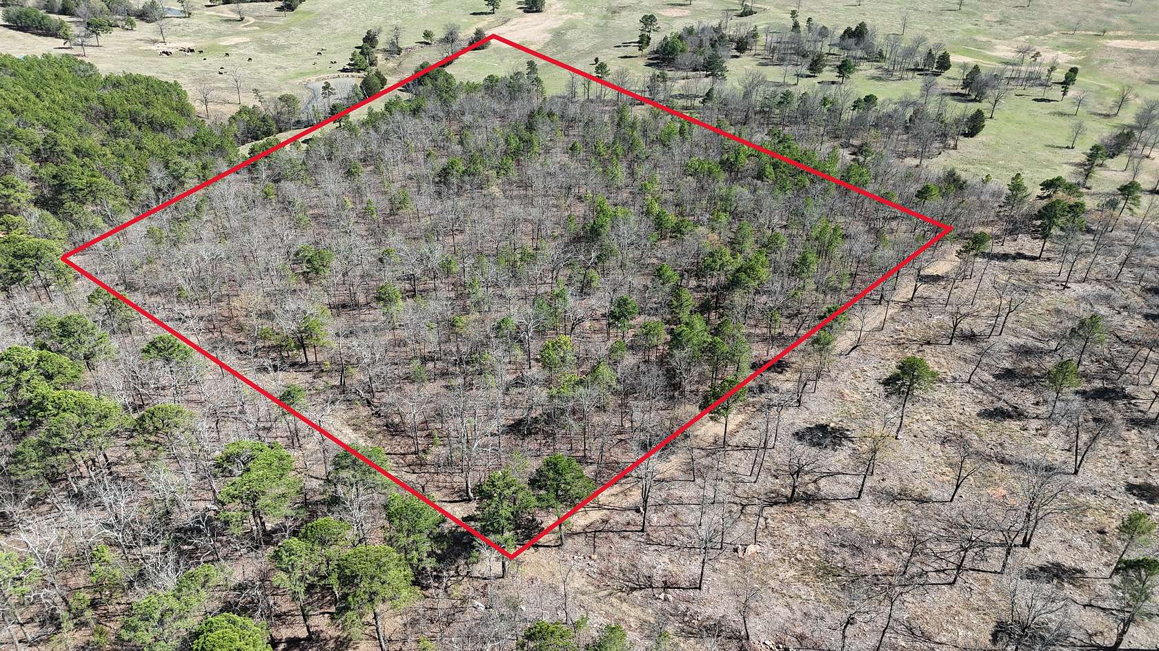 10 Acres of Land for Sale in Tuskahoma, Oklahoma