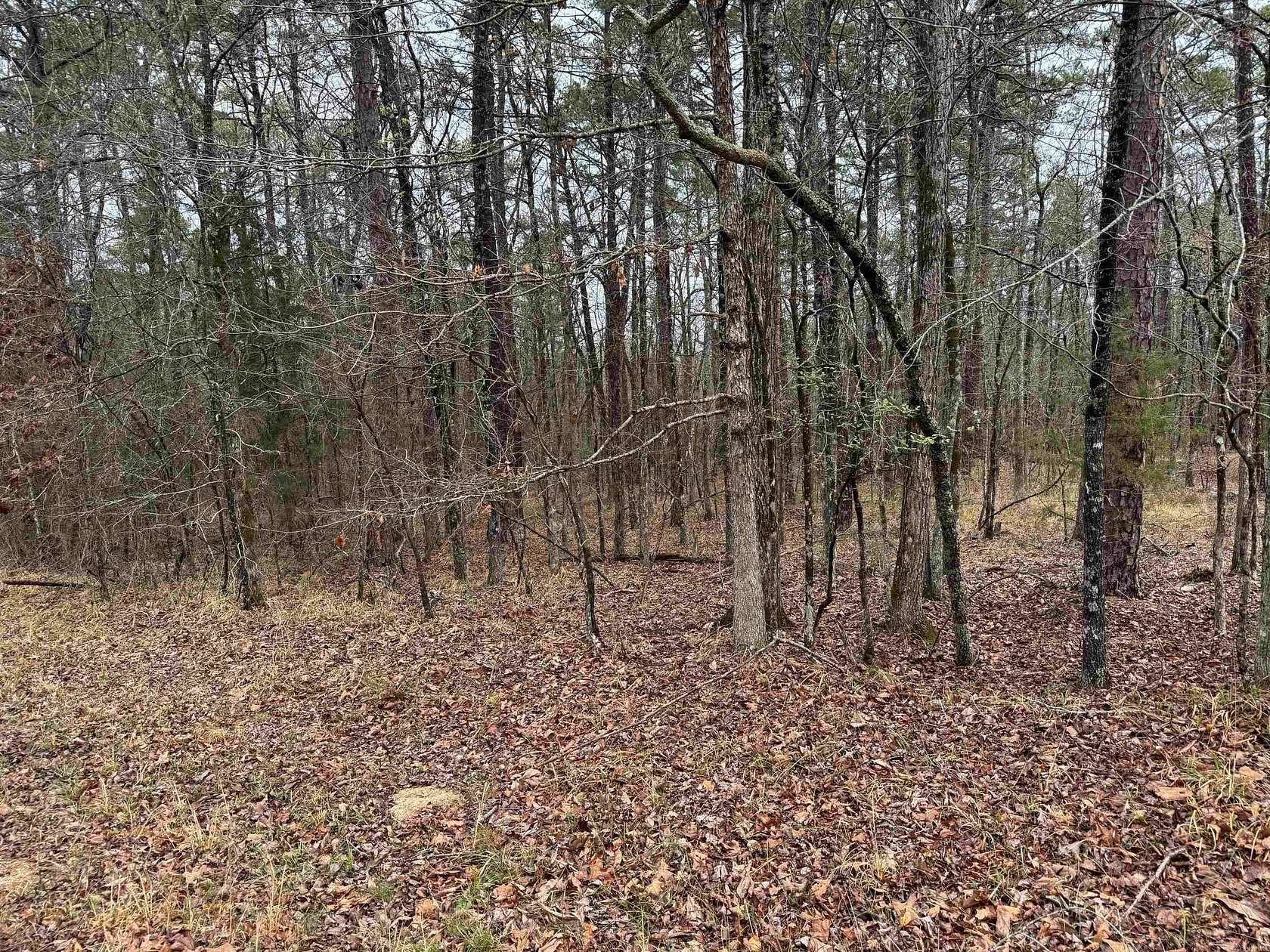 0.25 Acres of Residential Land for Sale in Hot Springs Village, Arkansas