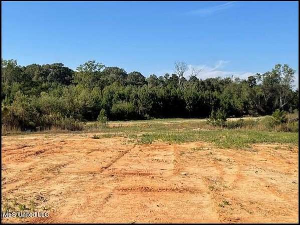 80.5 Acres of Land for Sale in Ridgeland, Mississippi