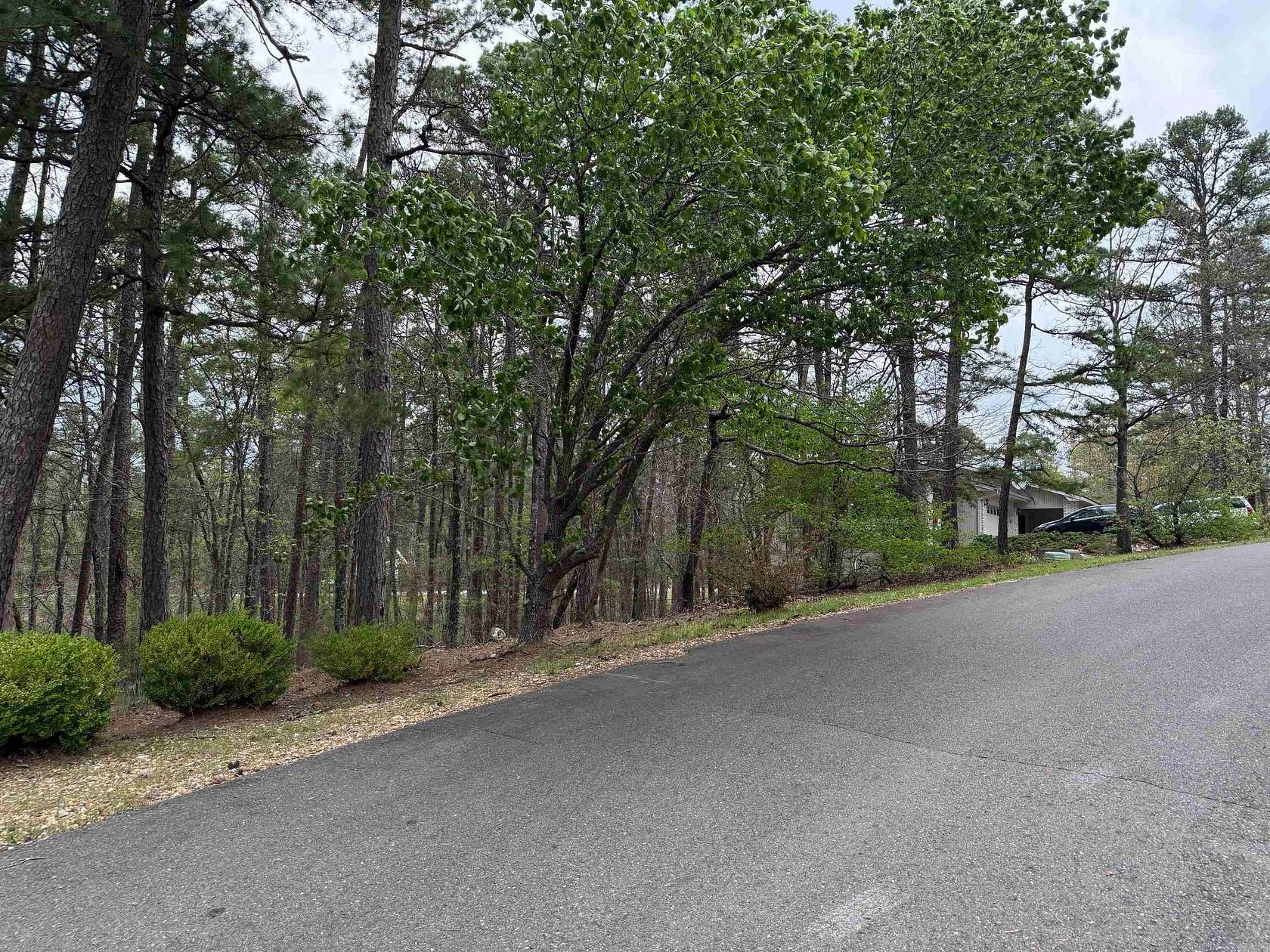 0.25 Acres of Residential Land for Sale in Hot Springs Village, Arkansas