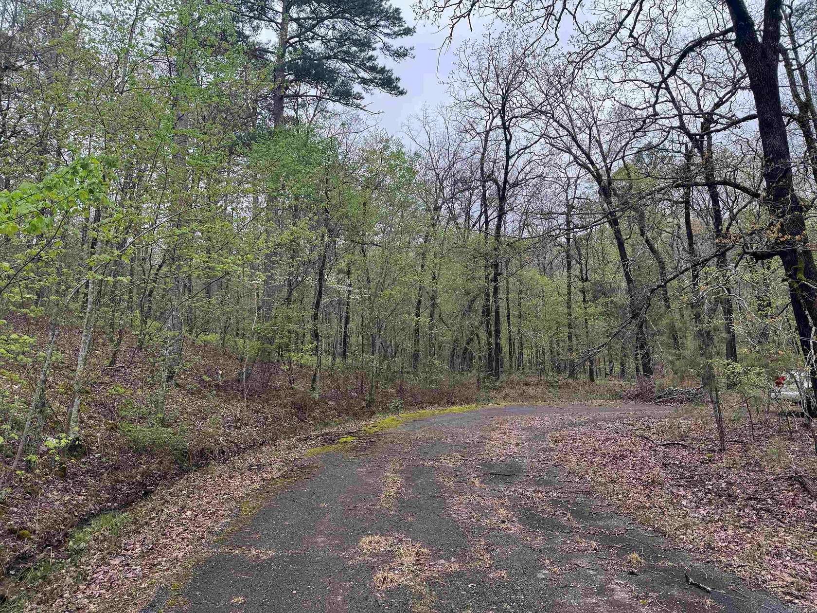 0.25 Acres of Land for Sale in Hot Springs Village, Arkansas