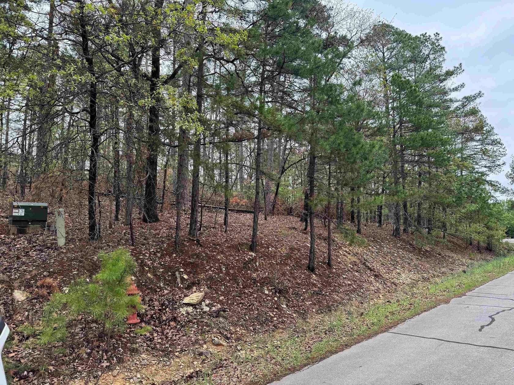 0.25 Acres of Residential Land for Sale in Hot Springs Village, Arkansas