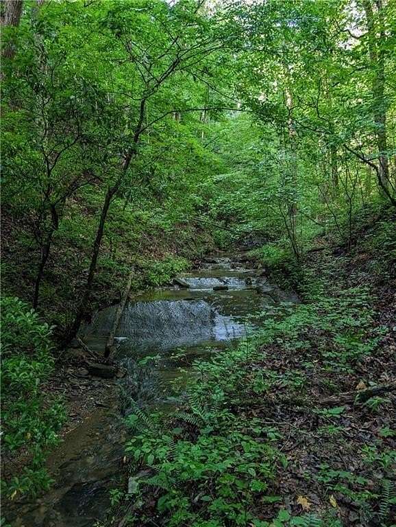 7.49 Acres of Residential Land for Sale in Ranger, Georgia