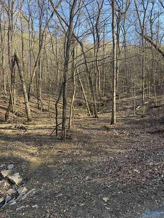 13 Acres of Recreational Land for Sale in Glencoe, Alabama