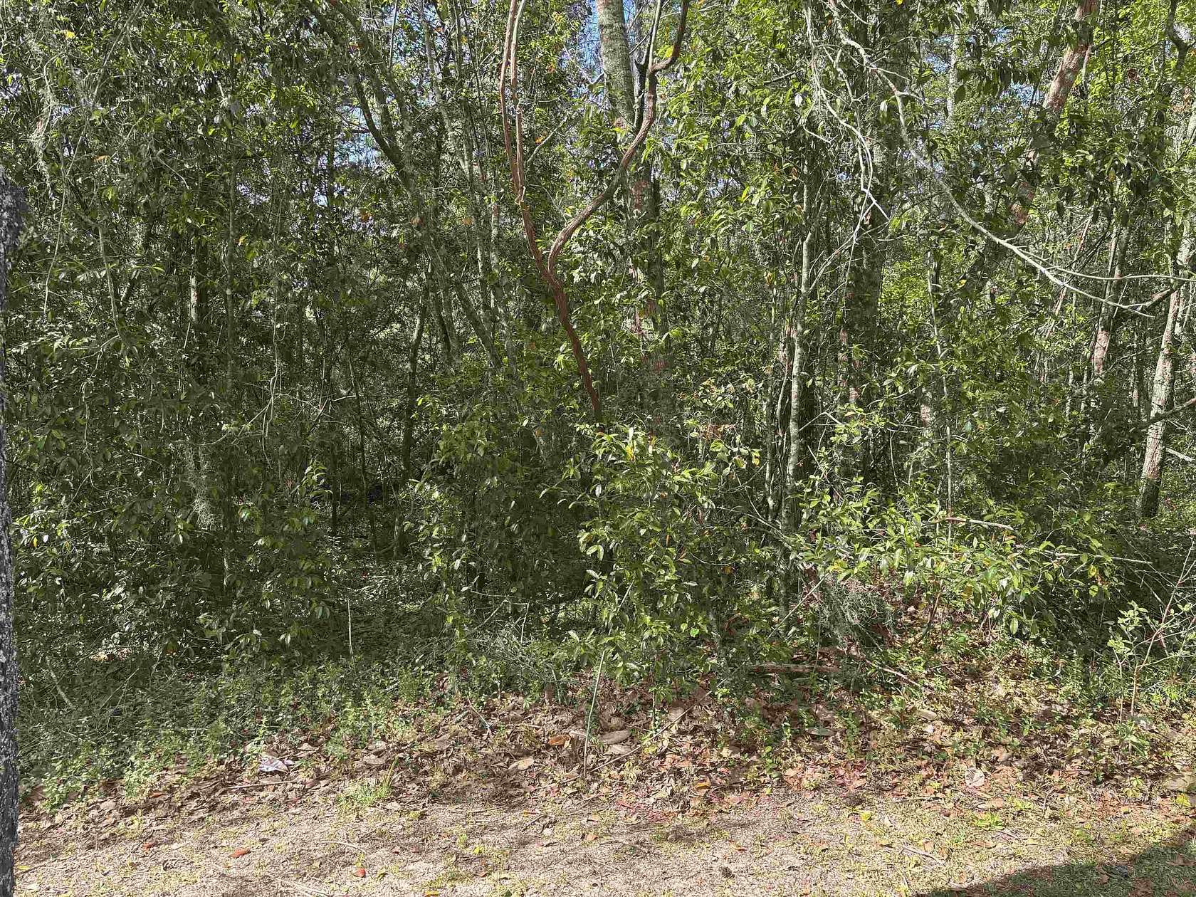 2 Acres of Residential Land for Sale in Tallahassee, Florida